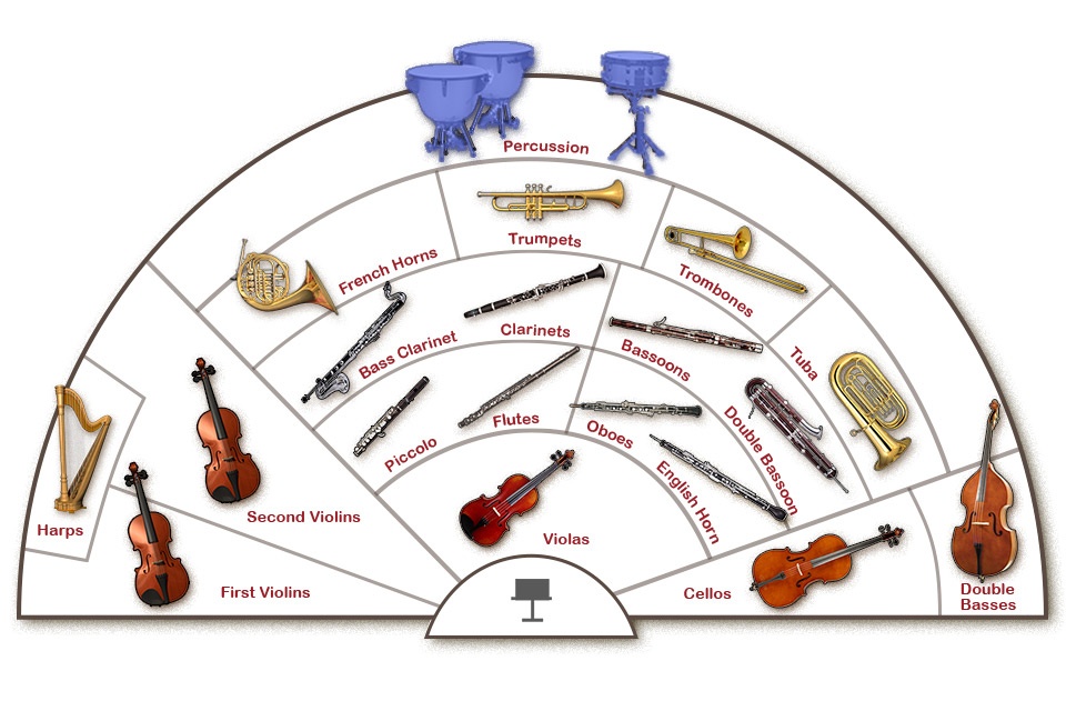 Difference Between Violin and Violas (Yes They Are Not The Same)