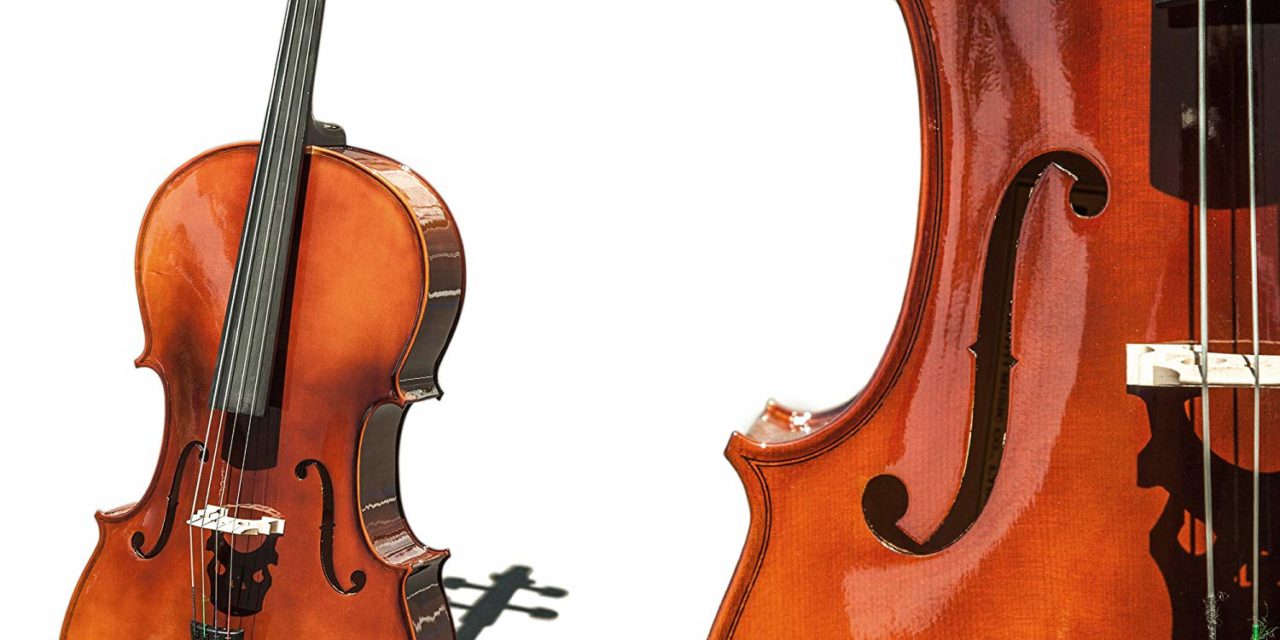 TOP 8 Best Cellos For Beginners!
