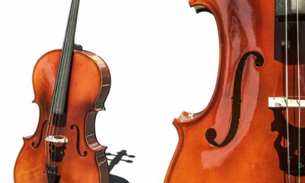TOP 8 Best Cellos For Beginners!