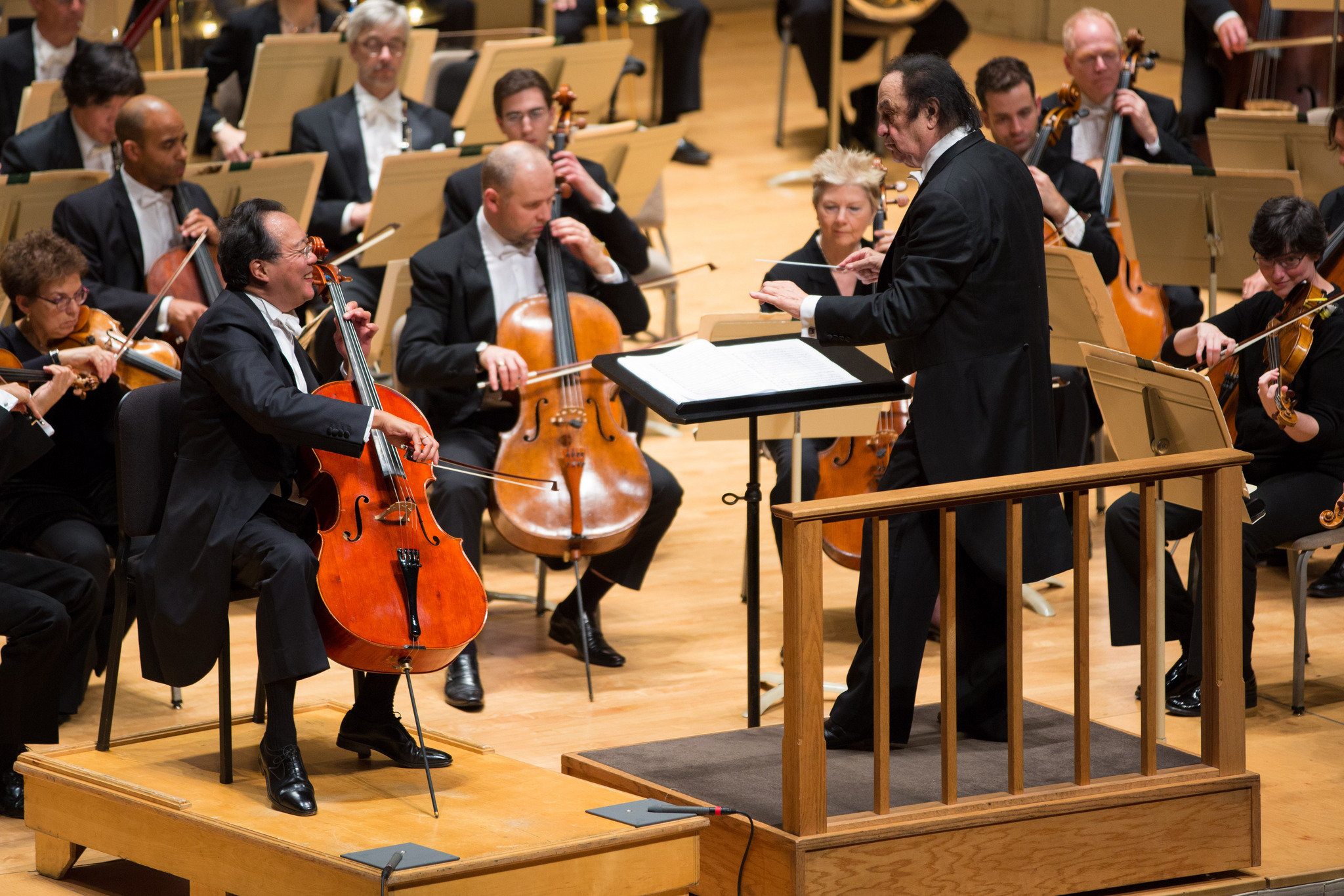 Top 10 Greatest Cello Pieces You Should Know