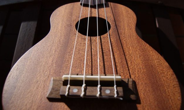 Best Ukulele Strings — A Complete Guide