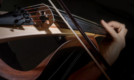 10 Best Electric Violins Reviewed in 2025