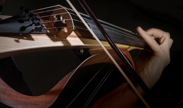 10 Best Electric Violins Reviewed in 2024