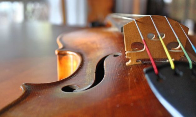 Top 7 Best Acoustic Viola Strings to Buy in 2025