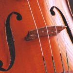 TOP 10 Acoustic Cello Strings