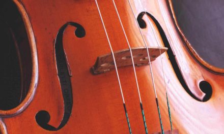 TOP 10 Acoustic Cello Strings