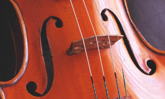 TOP 10 Acoustic Cello Strings