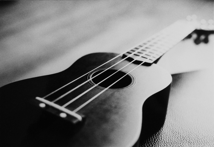 Top 7 Best Ukulele Kit for Absolute Beginners 2025