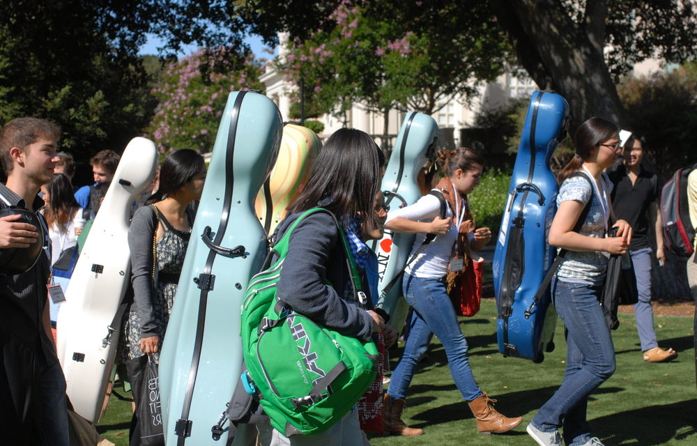 9 Best Cello Cases of 2025, Hard and Soft