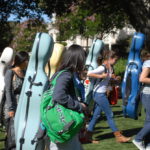 9 Best Cello Cases of 2025, Hard and Soft
