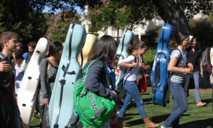 9 Best Cello Cases of 2025, Hard and Soft