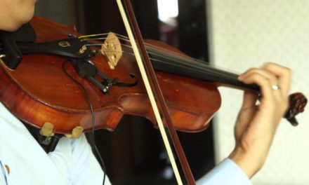 7 Best Violin Pickup to Pump Up Your Music 2025