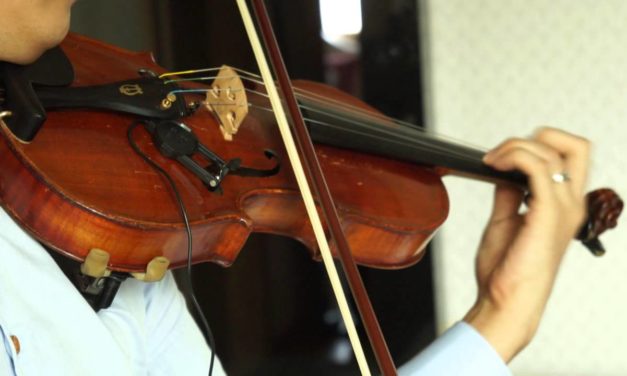 7 Best Violin Pickup to Pump Up Your Music 2025