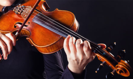 Top 8 Best Viola Bows — Wood and Carbon Fiber