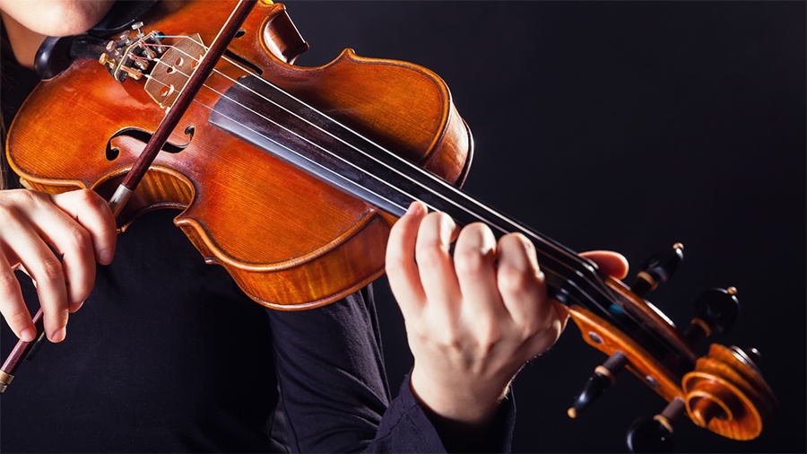 Top 8 Best Viola Bows — Wood and Carbon Fiber