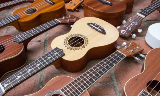 10 Best Ukuleles Brands and Products Complete Review