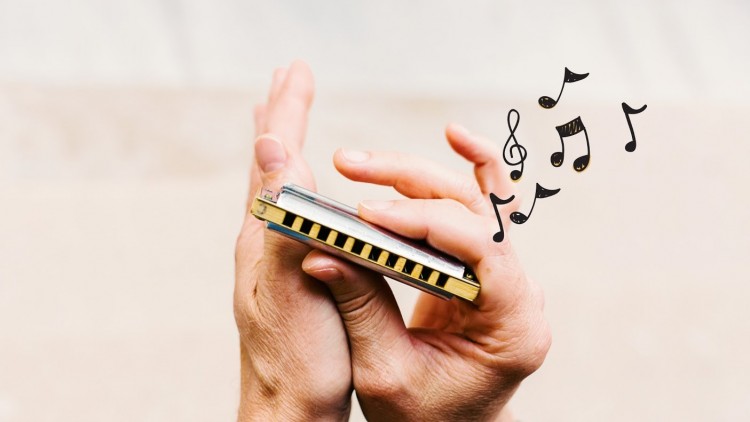 Top 7 Musical Instruments You Can Easily Learn & Play