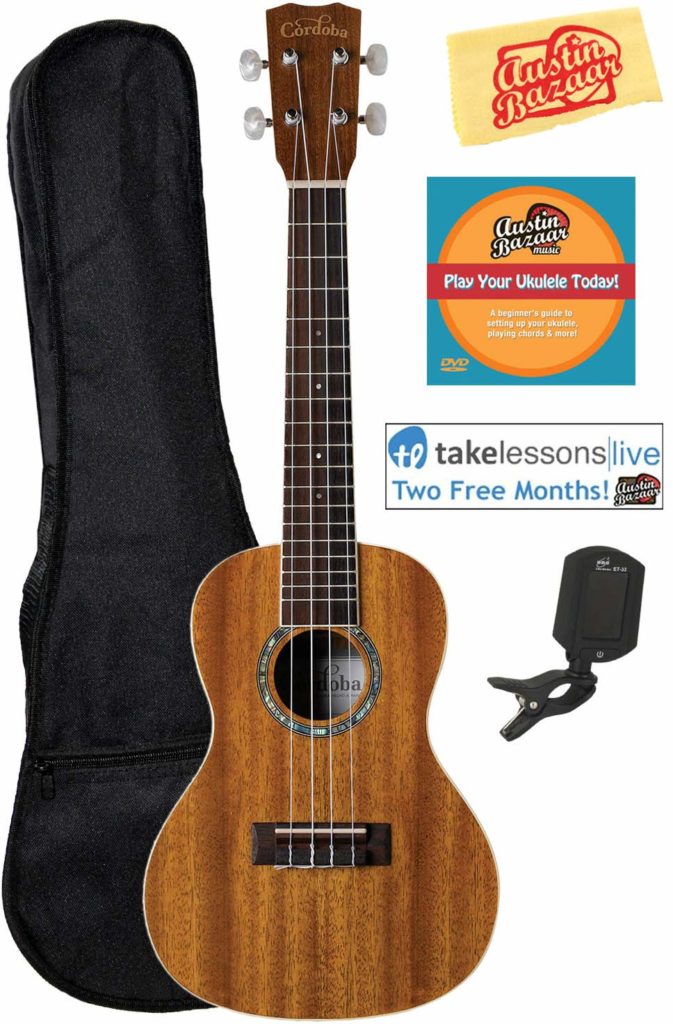 7 Best Concert Ukuleles For Beginners