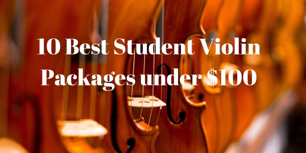 10 Best Student Violin Package under $100