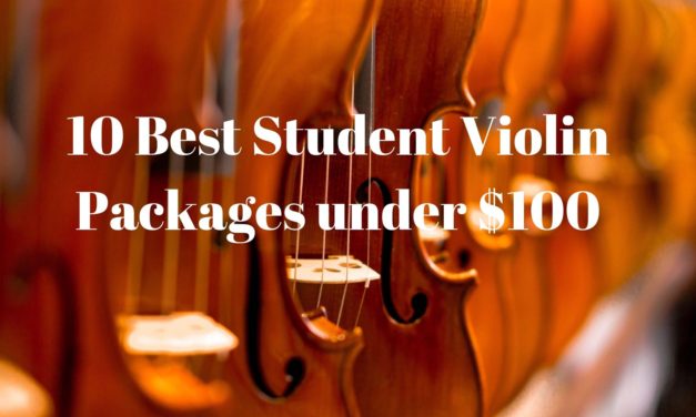 10 Best Student Violin Package under $100