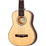 7 Best Concert Ukuleles For Beginners in 2024