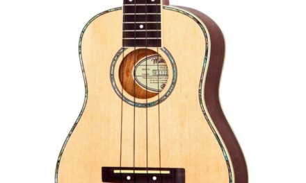7 Best Concert Ukuleles For Beginners in 2025