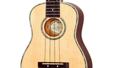 7 Best Concert Ukuleles For Beginners in 2024