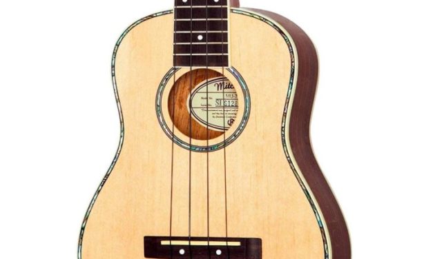 7 Best Concert Ukuleles For Beginners in 2025