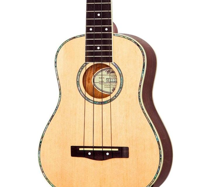 7 Best Concert Ukuleles For Beginners in 2025