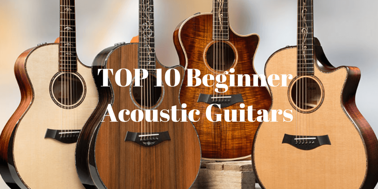 TOP 10 Beginner Acoustic Guitars in 2024