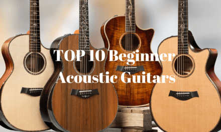 TOP 10 Beginner Acoustic Guitars in 2021
