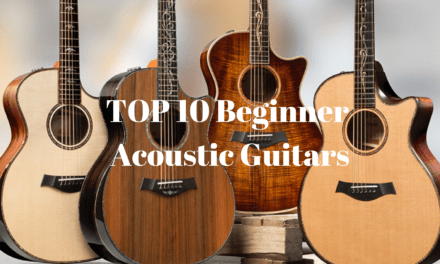 TOP 10 Beginner Acoustic Guitars in 2025