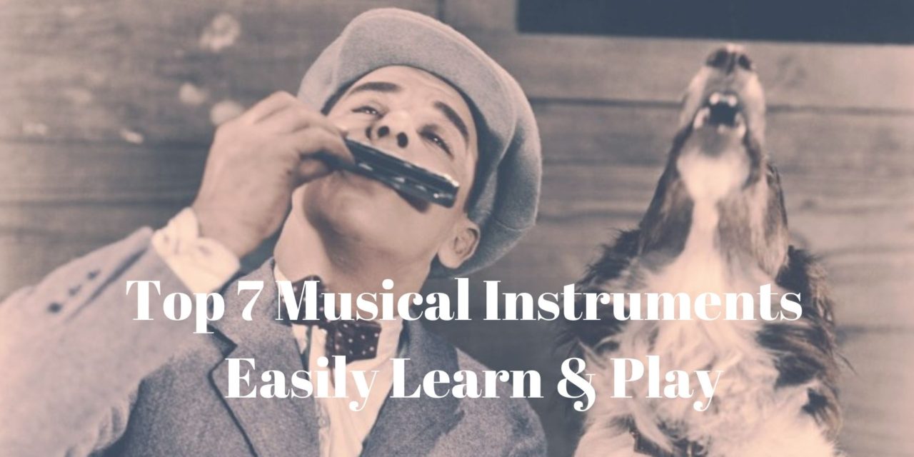 Top 7 Musical Instruments You Can Easily Learn & Play