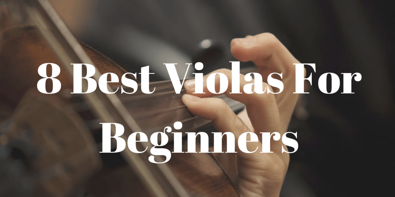 8 Best Violas for Beginners 2024