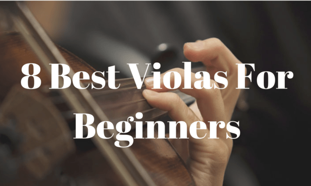 8 Best Violas for Beginners 2025
