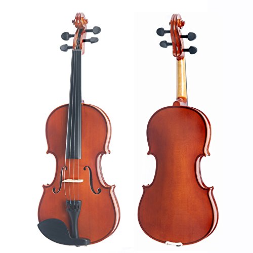 8 Best Violas for Beginners