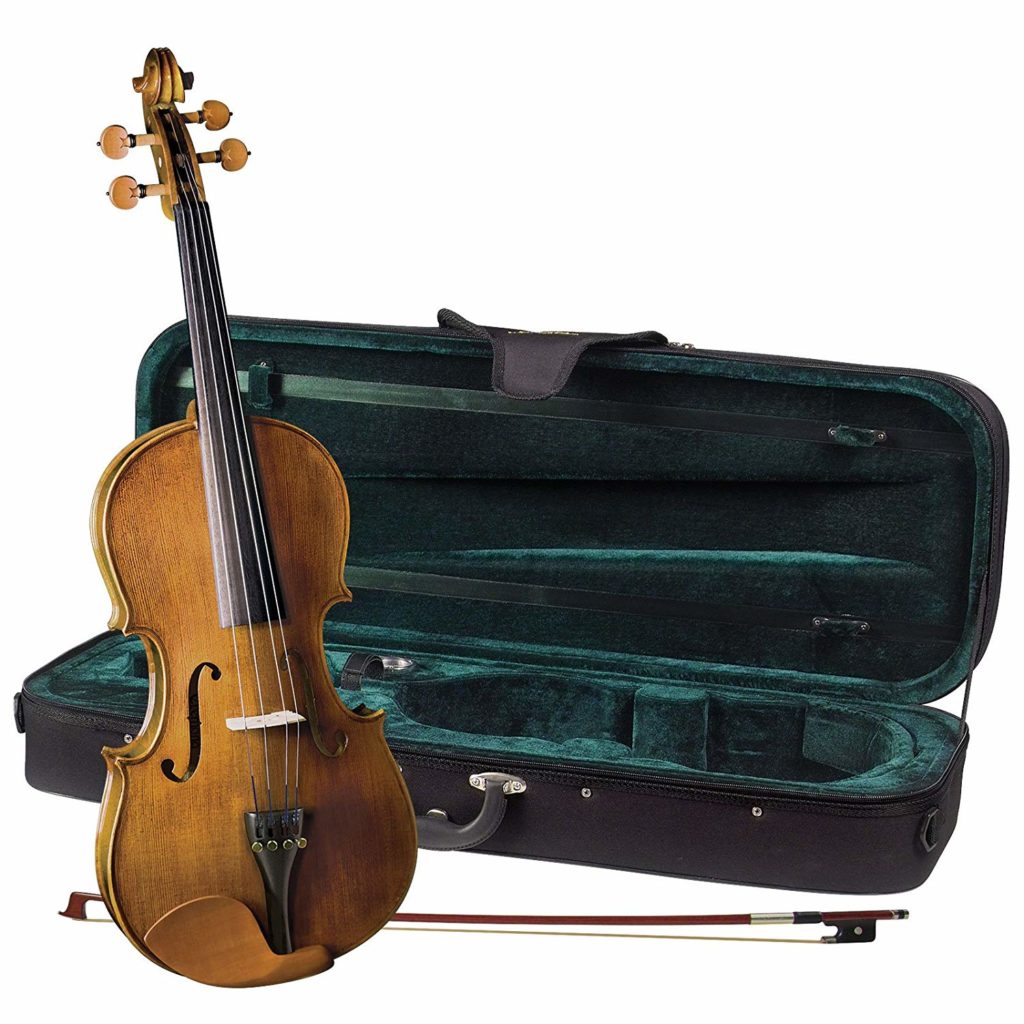 8 Best Violas for Beginners