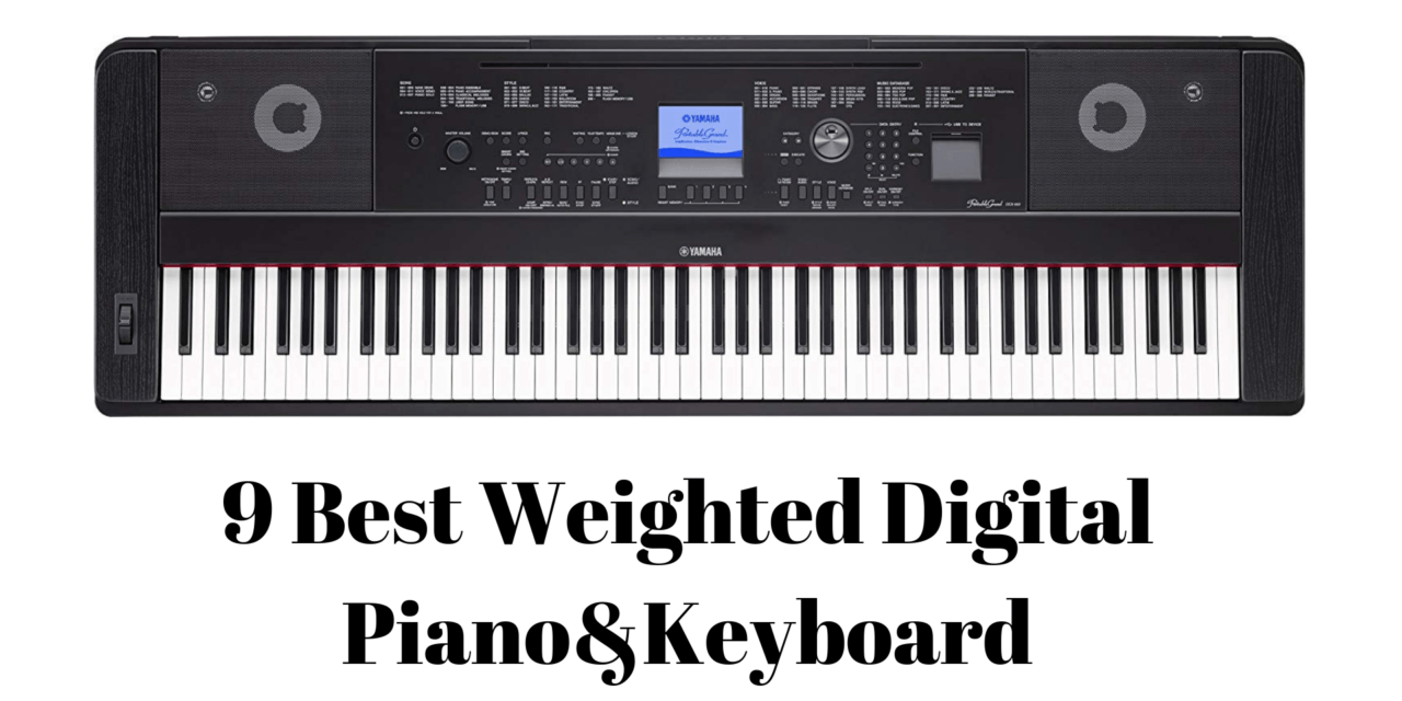 9 Best Weighted Digital Piano and Keyboards