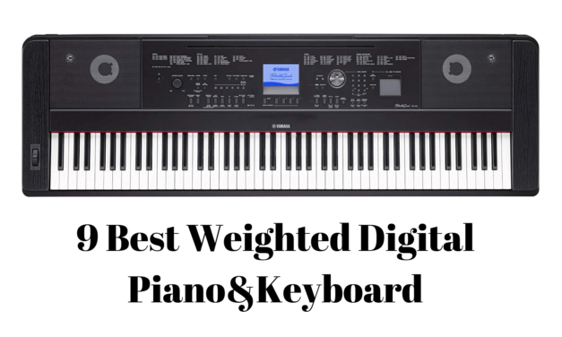 9 Best Weighted Digital Piano and Keyboards