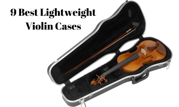 9 Best Lightweight Durable Violin Cases & Bags Review 2023