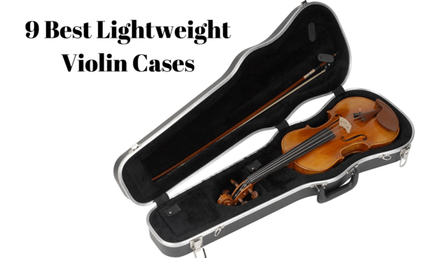 9 Best Lightweight Durable Violin Cases & Bags Review 2025