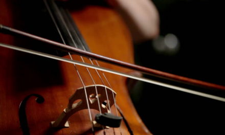 8 Best Cello Bows For Beginners and Tight Budget