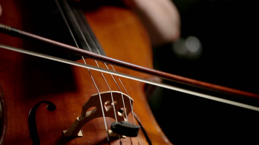 8 Best Cello Bows For Beginners and Tight Budget