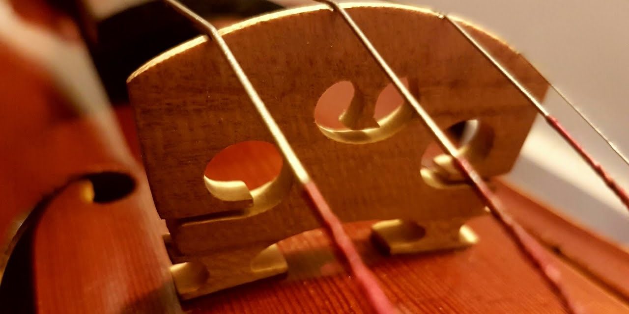 7 Best Violin Replacement Bridges (Fitted and Unfitted)
