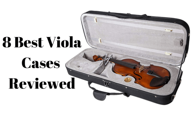 8 Best Viola Cases Reviewed in 2025