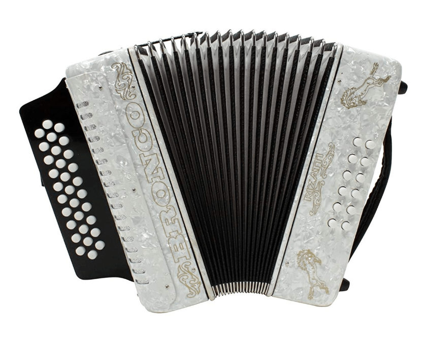 Top 8 Best Accordions and Buying Guide