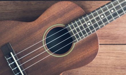 8 Best Baritone Ukuleles for Beginners