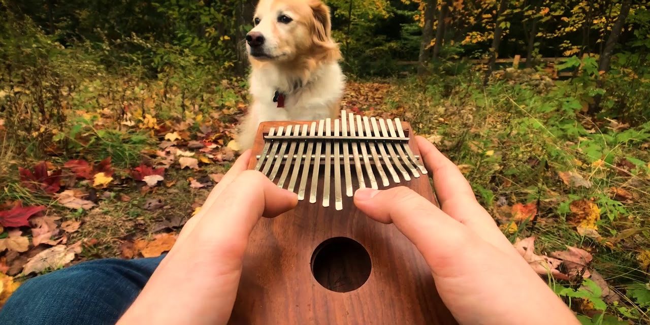 8 Best Kalimba Thumb Pianos for Beginners