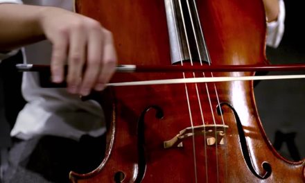 Top 7 Intermediate to Professional Cello Bows