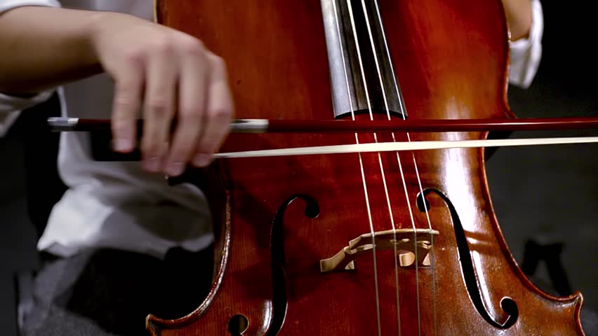 Top 7 Intermediate to Professional Cello Bows